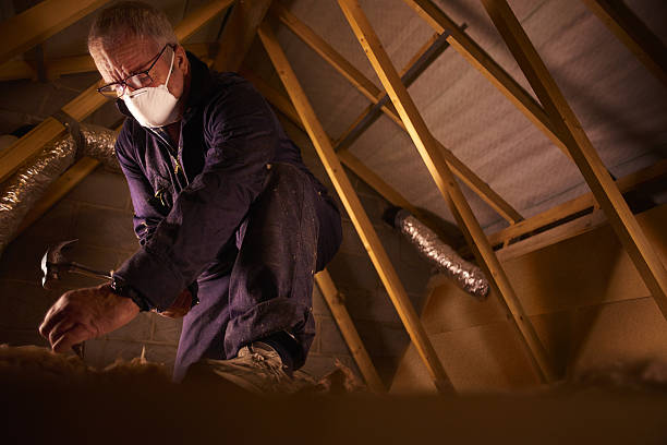 Best Insulation Maintenance and Repair in Lansdowne, MD